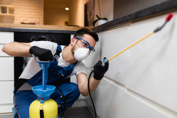Trusted Fredericksburg, VA Pest Control Experts