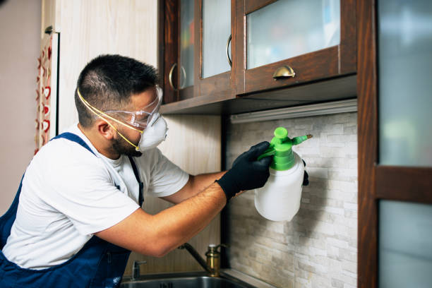 Best Rat Extermination Near Me  in Fredericksburg, VA
