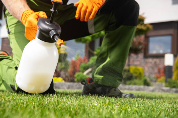 Best Affordable Pest Control Services  in Fredericksburg, VA