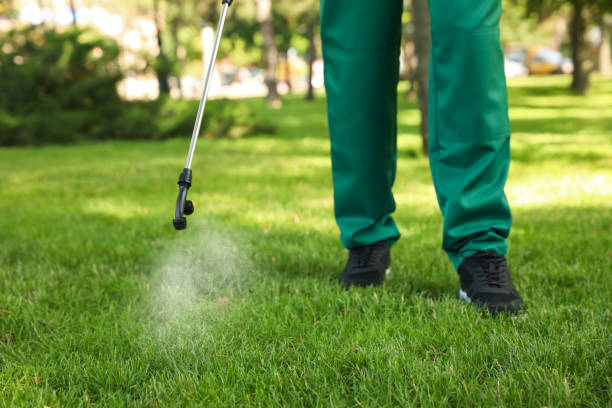 Best Best Pest Control Companies  in Fredericksburg, VA