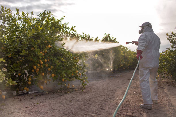 Best Affordable Pest Control Services  in Fredericksburg, VA