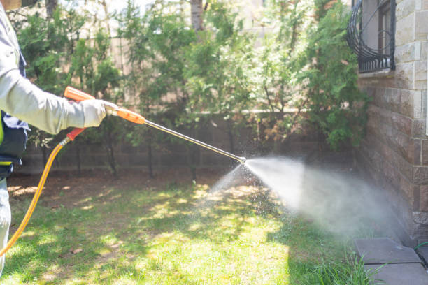 Best Insect Control  in Fredericksburg, VA