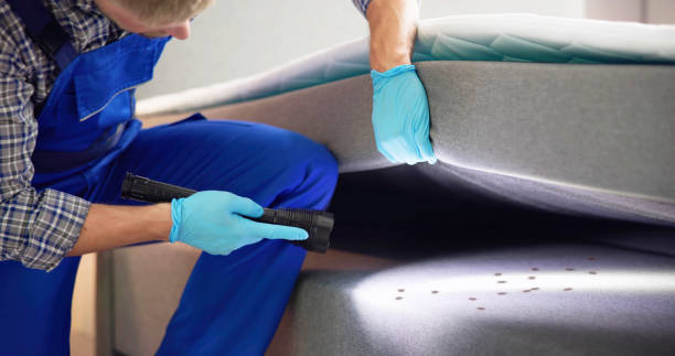 Best Pest Control for Businesses  in Fredericksburg, VA