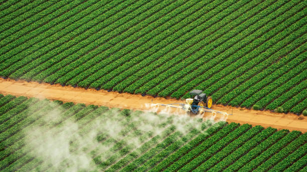 Best Pest Control Treatment  in Fredericksburg, VA