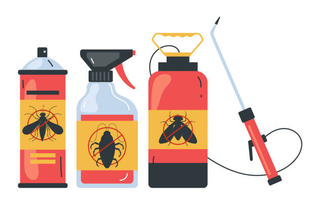 Best Spider Control Near Me  in Fredericksburg, VA