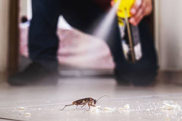 Best Residential Pest Control  in Fredericksburg, VA