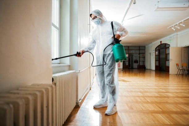 Best Termite Control Services  in Fredericksburg, VA